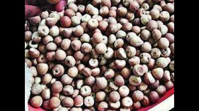 Arecanut, a bright spot for farmers amid pandemic