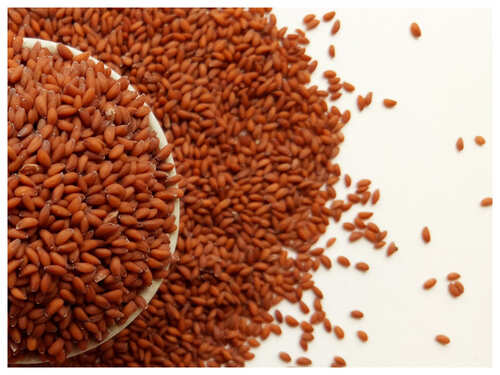 Easy kitchen remedies for monsoon induced hair fall | The Times of India