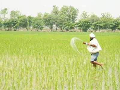 21% increase in sown area of kharif crops