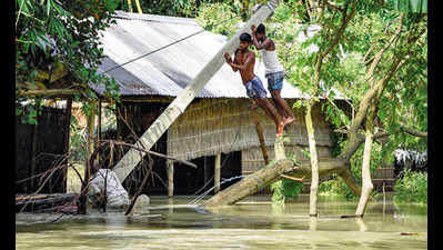 Assam floods hog national and global attention