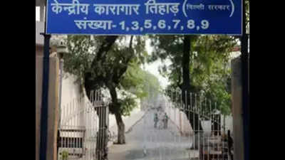 Man held for murder of his mother-in-law commits suicide at Delhi's Tihar Jail