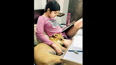 Mumbai: The pandemic has raised a yearning for furry companions