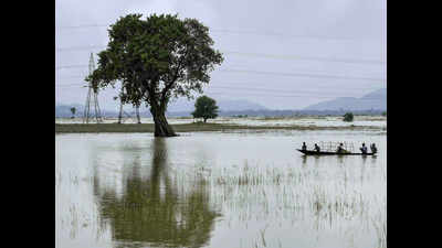Floods continue to wreak havoc in Assam; 5 more deaths, toll reaches 85
