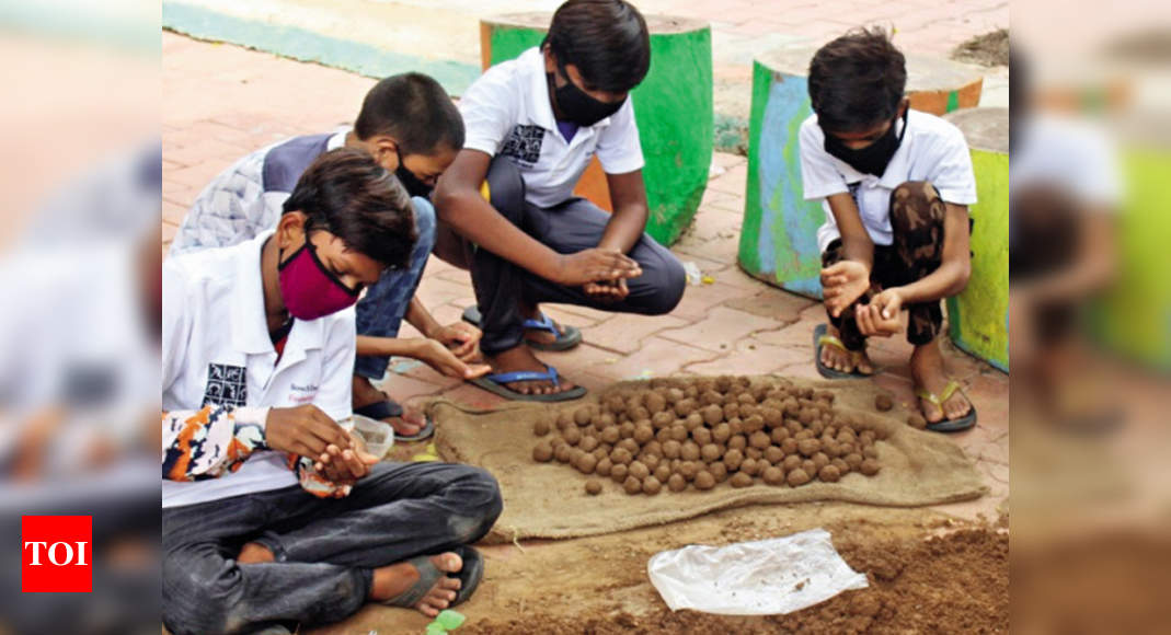 NGO plants 1 lakh seed balls to battle global warming - Times of India