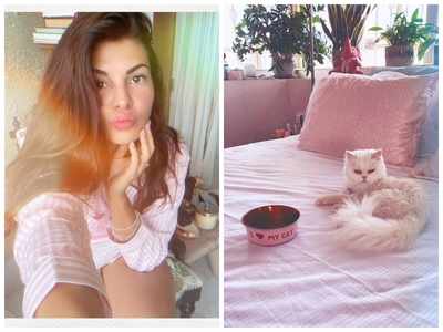 Jacqueline Fernandez shares an adorable picture of pet cat Miu Miu