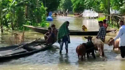 No respite for flood-hit Assam, more rains predicted
