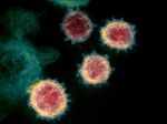 Coronavirus cases in India surpasses 1 million