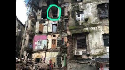 Mumbai: Rescue lovebirds from collapsed building site, urge animal activists