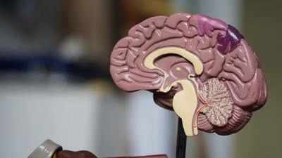 Genes and cardiovascular health may increase dementia risk: Study