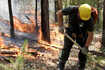 Massive wildfires in Siberia engulf area larger than Greece