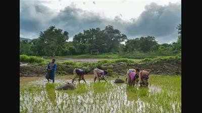 Covid-19 prompts change, signs of farm 'revolution' in India