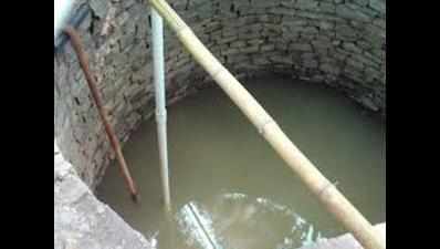 Tamil Nadu govt sanctions Rs 10.19 crore to dig community wells