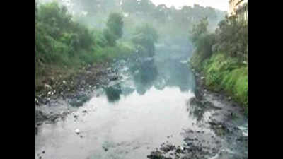 NGT seeks report on pharma units polluting rivers in Himachal Pradesh