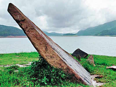 Kerala: Ancient stone monuments found in Idukki’s Anchuruli