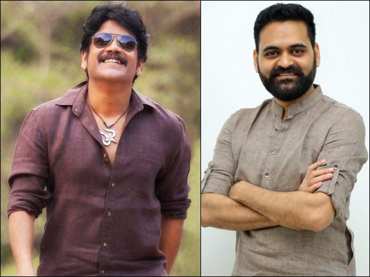 It&#39;s Official! Nagarjuna joins hands with Praveen Sattaru for a slick  action thriller | Telugu Movie News - Times of India