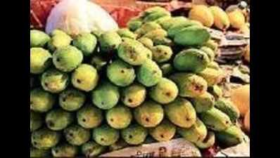 Weak monsoon boon for mango lovers
