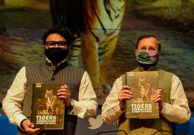 Human activities cutting off tiger gene flow in NE: Tiger census report