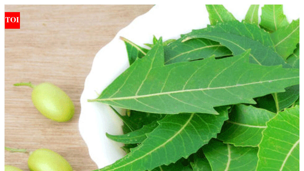 Unique culinary uses of neem leaves and their benefits