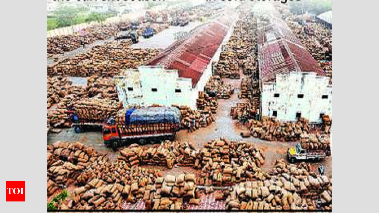 Guntur agriculture market yard unscathed by lockdown | Vijayawada News -  Times of India