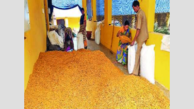 Lockdown brings Kandhamal turmeric trade to grinding halt