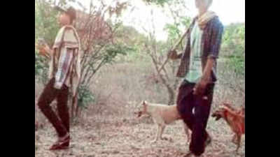 Armed poachers run wild in Telangana's Amrabad