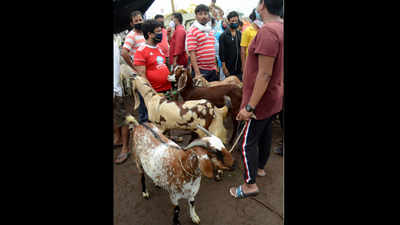 Ahead of Bakrid, goat sellers stare at losses in Patna