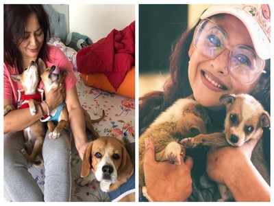 Friendship Day Special: How stray dogs have become Sreelekha Mitra’s lifeline