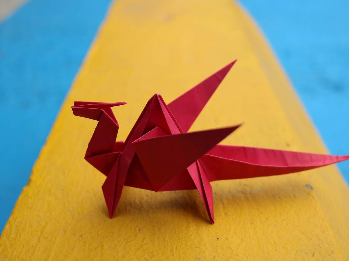 Origami Books That Can Creatively Keep Both Adults And Kids Busy Most Searched Products Times Of India