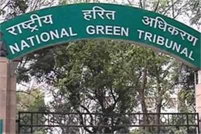 NGT raps MoEF over monitoring of environmental norms