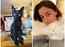 Alia Bhatt turns ‘cat paparazzi’ as she shares adorable pictures of Edward and Juniper