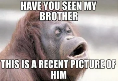 Raksha Bandhan Memes Wishes Messages Images Status Funny Memes And Messages That Will Make Your Siblings Laugh Out Loud