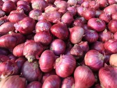 Health officials link US salmonella outbreak to red onions