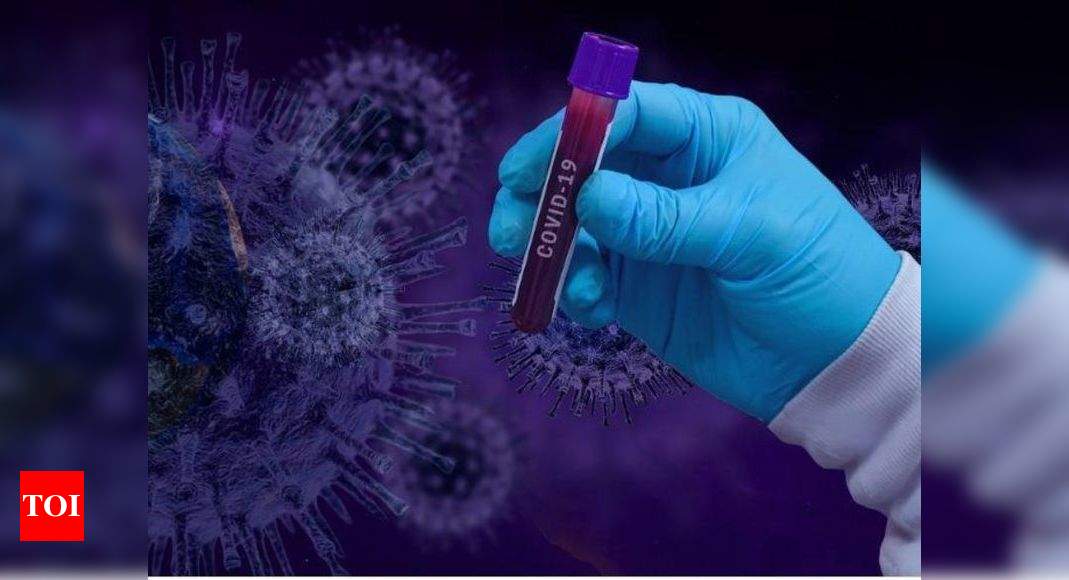 275 more test positive for novel coronavirus in Dakshina ...