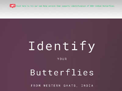 Student's AI platform identifies butterflies from just a photo