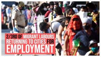 2/3rd of migrant labours returning to cities for employment: Survey