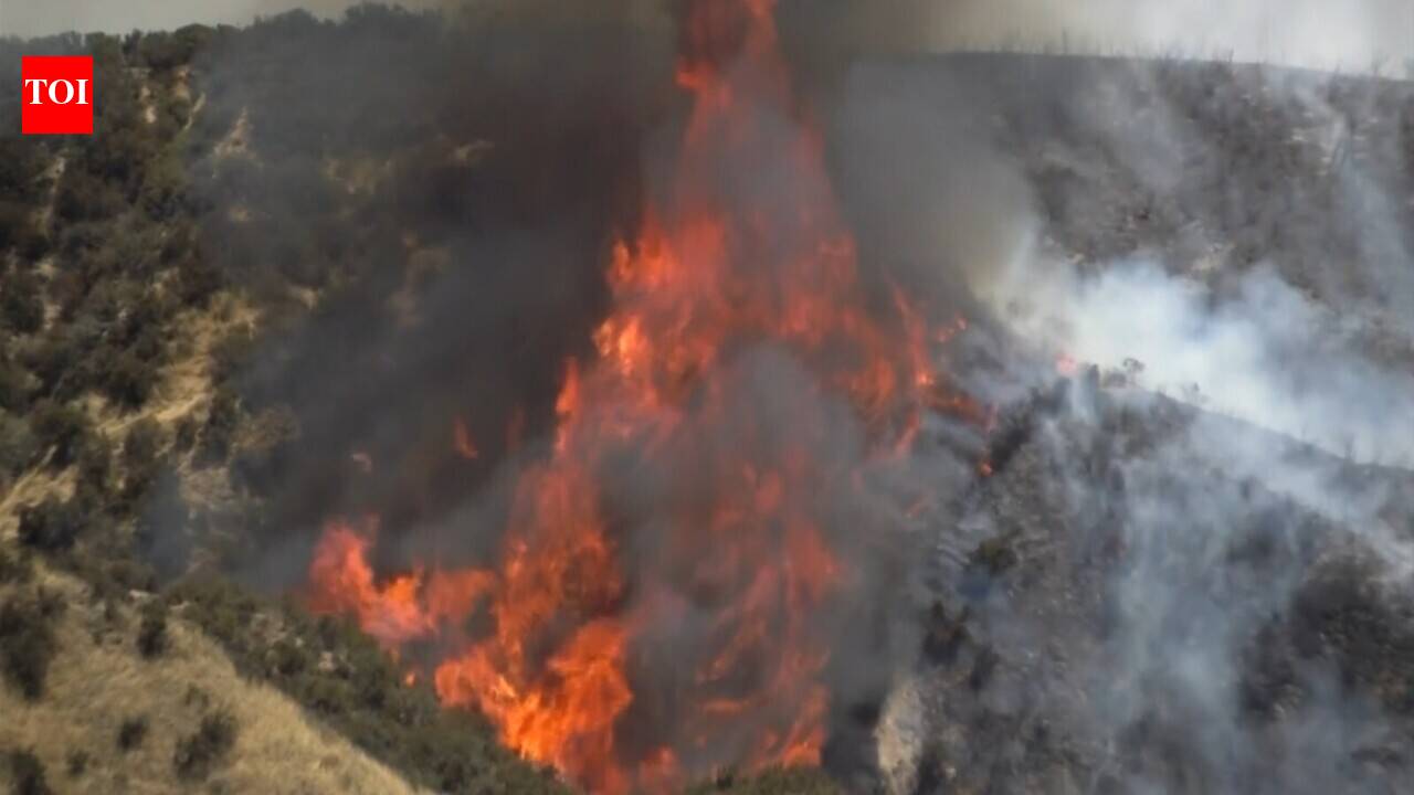 US: Southern California crews battle 'Apple Fire'