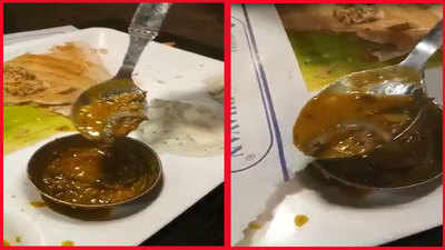 Customer finds dead lizard in bowl of 'sambar'; FIR registered