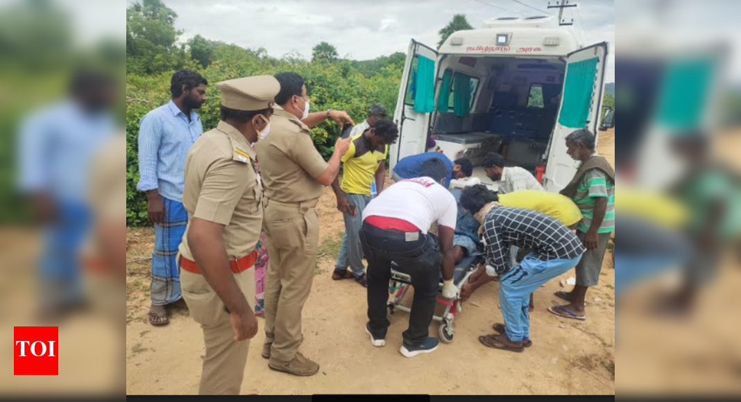 Sloth bear attacks man grazing cattle in TN reserve forest | Chennai