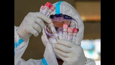 Delhi sees 805 new Covid-19 cases, RT-PCR testing still low