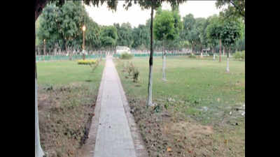 Panchkula Civic Body Plans To Turn Dumping Ground Into A Green Belt ...