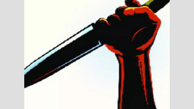 Woman knifes domestic help in Ahmedabad