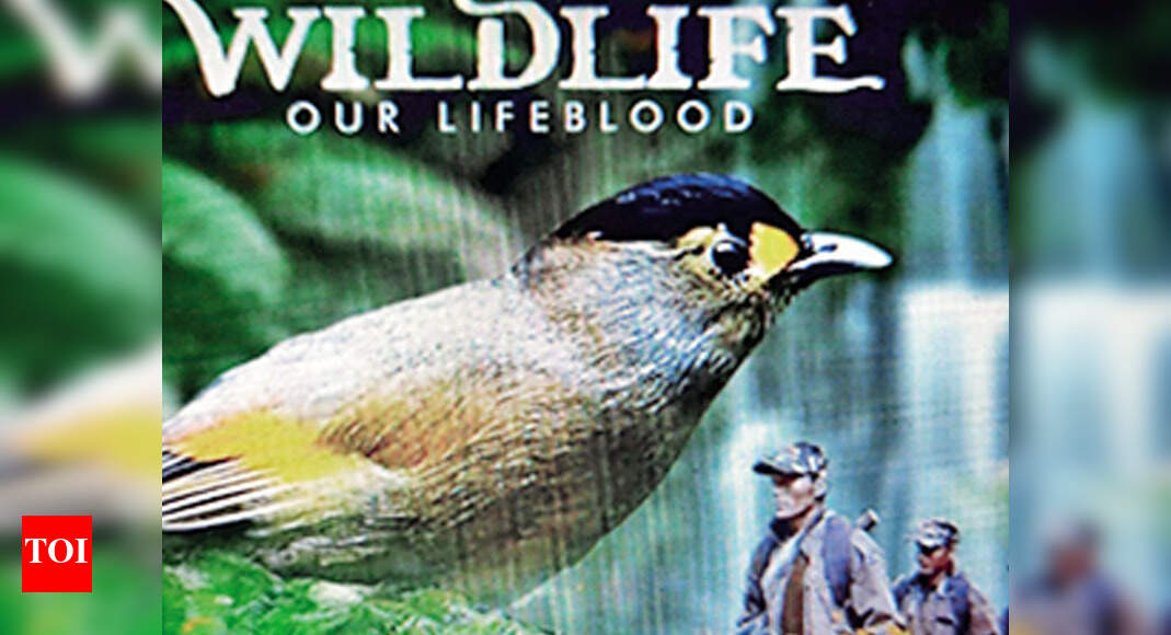 Documentary on rare bird earns film a Paris film fest nomination