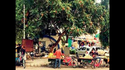 Punish unregistered vendors: Chandigarh civic body to SSP