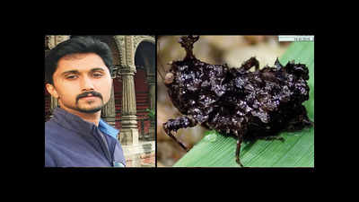 New twighopper species named after Keralite researcher