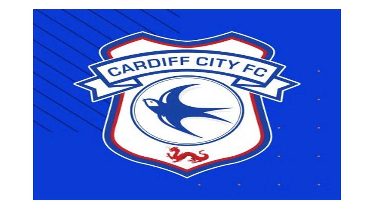 Cardiff to appeal to Cas after order to pay Emiliano Sala transfer fee, Emiliano Sala