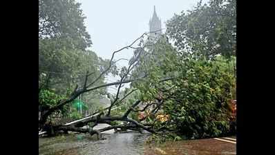 Mumbai: Winds topple signages and flatten trees