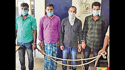 Assam: Four held for cross-border smuggling cattle racket