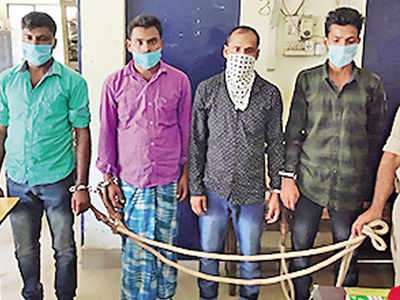 Assam: Four Held For Cross-border Smuggling Cattle Racket | Guwahati ...