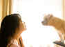 What your choice of dog breed tells about your personality