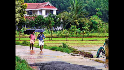 Tamil Nadu: Red alert in Coimbatore, Nilgiris after IMD forecasts heavy rain